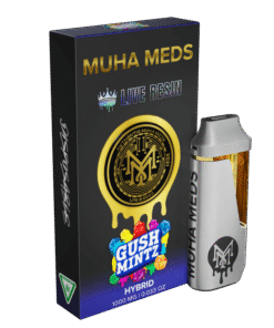 GUSH MINTZ | HYBRID 1000MG LIVE RESIN THC